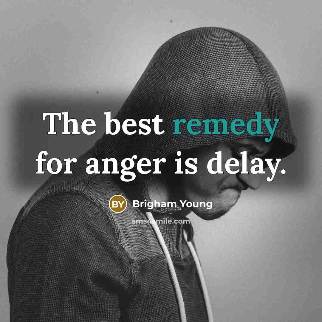 “The best remedy for anger is delay.…” quote by Brigham Young