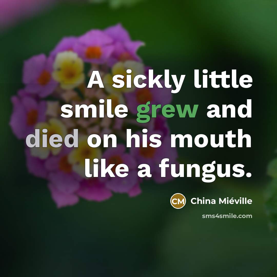“A sickly little smile grew and died on his mouth…” quote by China Mieville