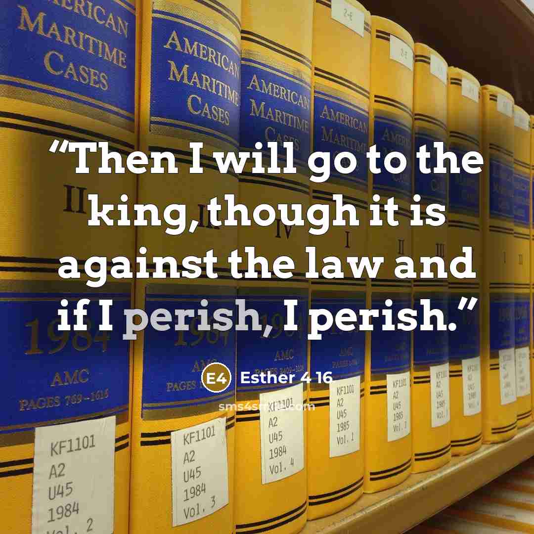 “Then I will go to the king, though it is against the law and if I perish, I perish.” quote by Esther 4 16