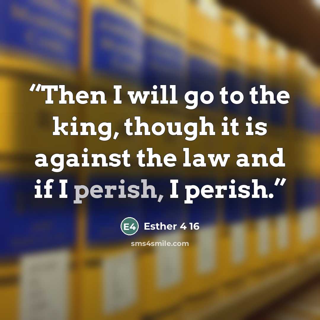 “Then I will go to the king, though it is against the law and if I perish, I perish.” quote by Esther 4 16