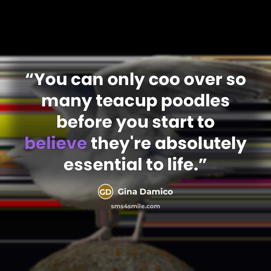 “You can only coo over so many teacup poodles before you start to believe they're absolutely essential to life.” quote by Gina Damico