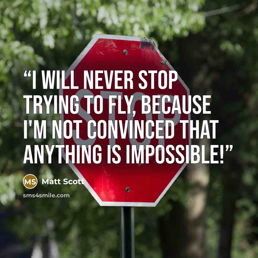 “I Will Never Stop Trying To Fly, Because I'm Not Convinced That Anything Is Impossible!” quote by Matt Scott