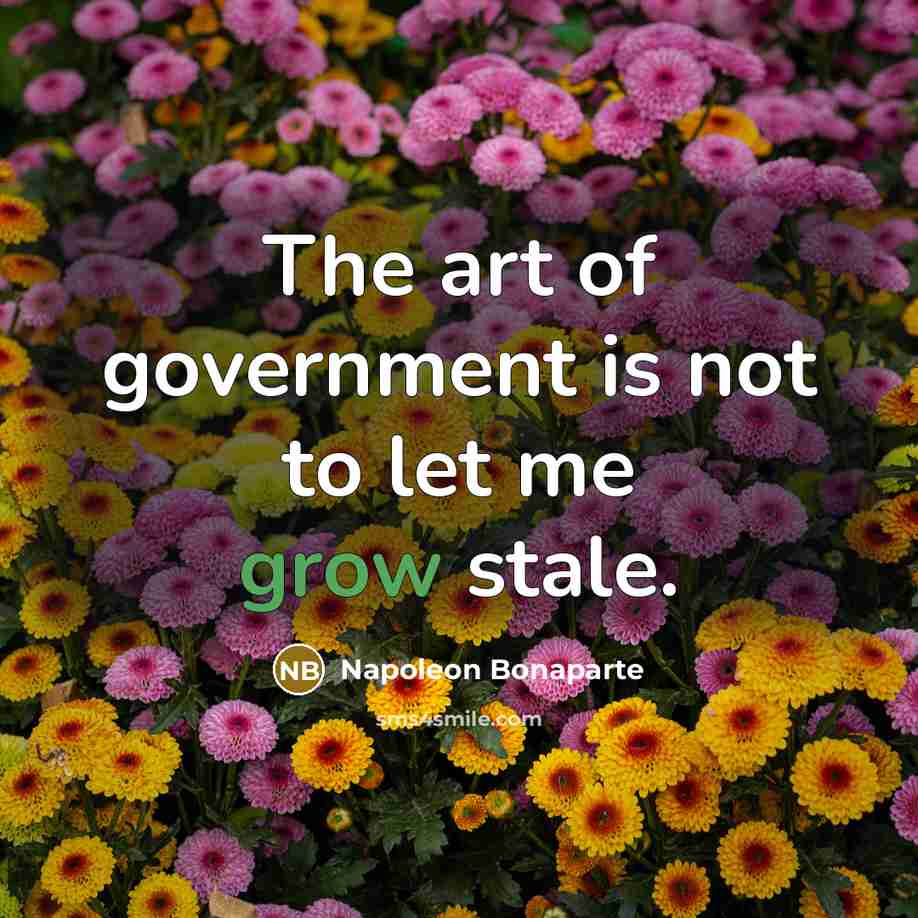 “The art of government is not to let me grow…” quote by Napoleon Bonaparte