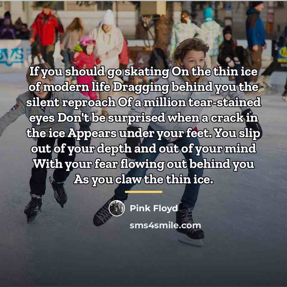 “If you should go skating On the thin ice of…” quote by Pink Floyd