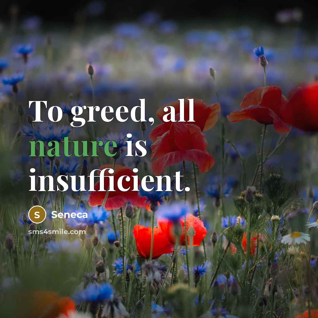 “To greed, all nature is insufficient.…” quote by Seneca