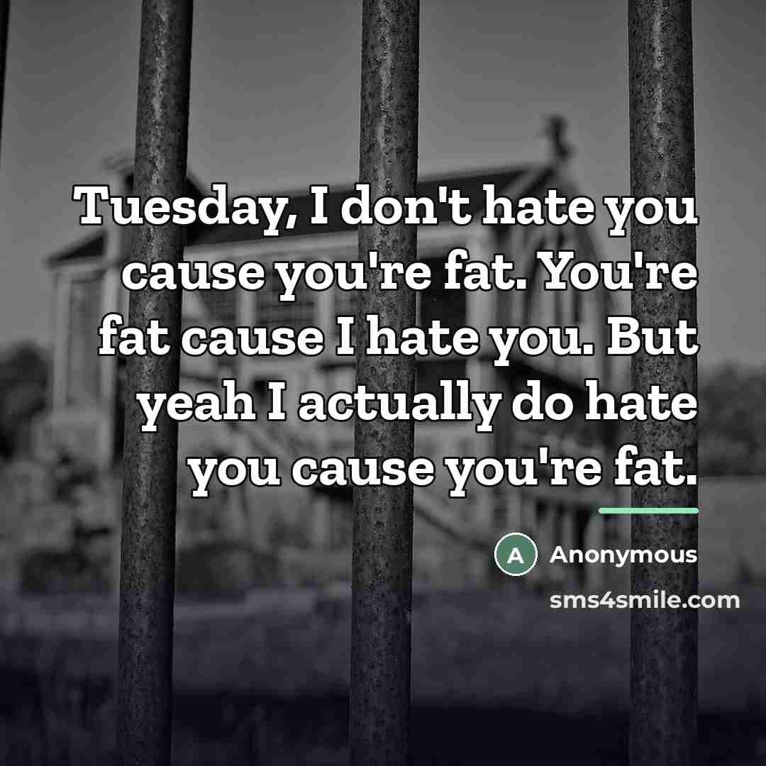 “Tuesday, I don't hate you cause you're fat. You're fat…” quote by Anonymous