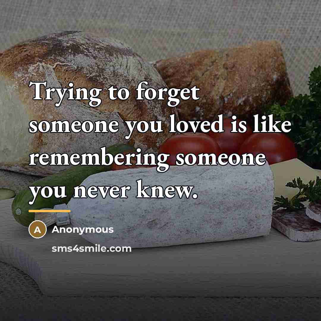 “Trying to forget someone you loved is like remembering someone…” quote by Anonymous