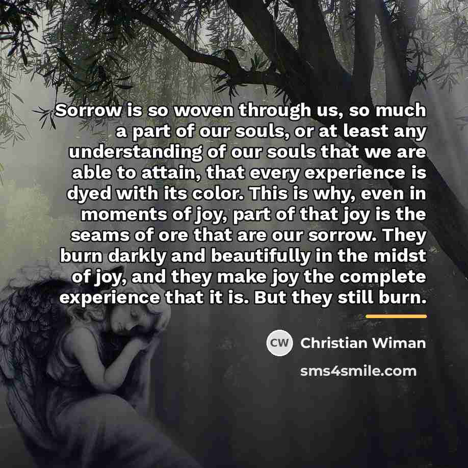 “Sorrow is so woven through us, so much a part…” quote by Christian Wiman