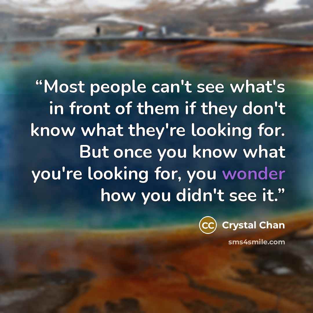 “Most people can't see what's in front of them if they don't know what they're looking for. But once you know what you're looking for, you wonder how you didn't see it.” quote by Crystal Chan
