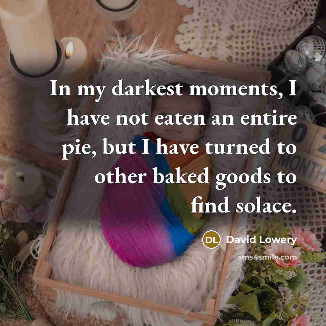 “In my darkest moments, I have not eaten an entire…” quote by David Lowery