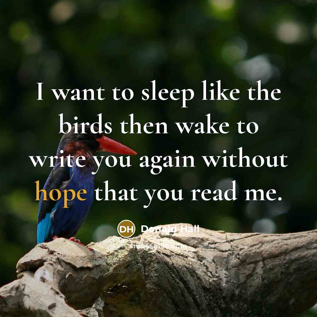 “I want to sleep like the birds then wake to…” quote by Donald Hall