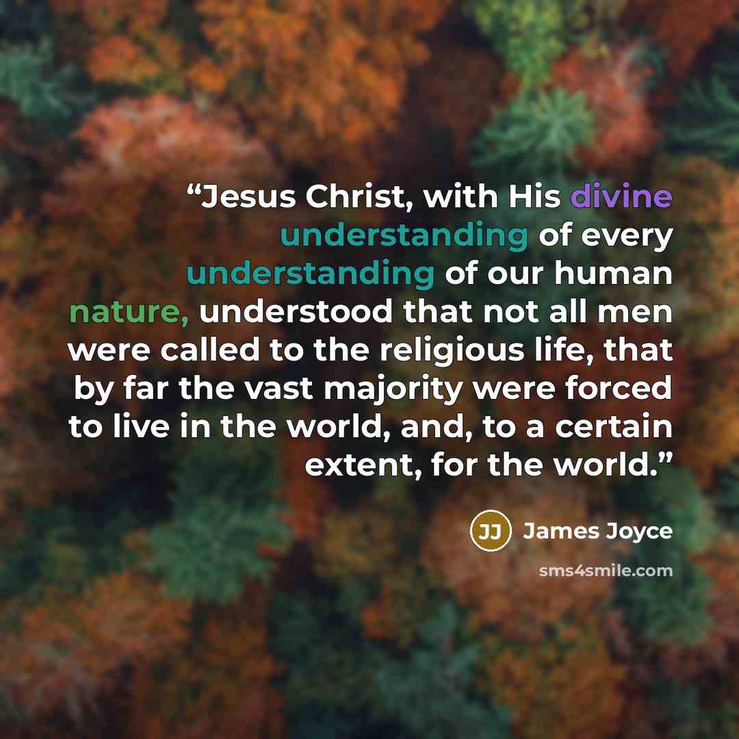 “Jesus Christ, with His divine understanding of every understanding of our human nature, understood that not all men were called to the religious life, that by far the vast majority were forced to live in the world, and, to a certain extent, for the world.” quote by James Joyce