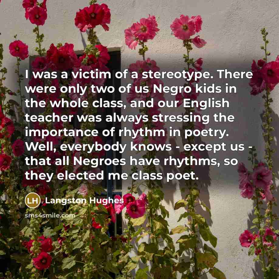 “I was a victim of a stereotype. There were only…” quote by Langston Hughes