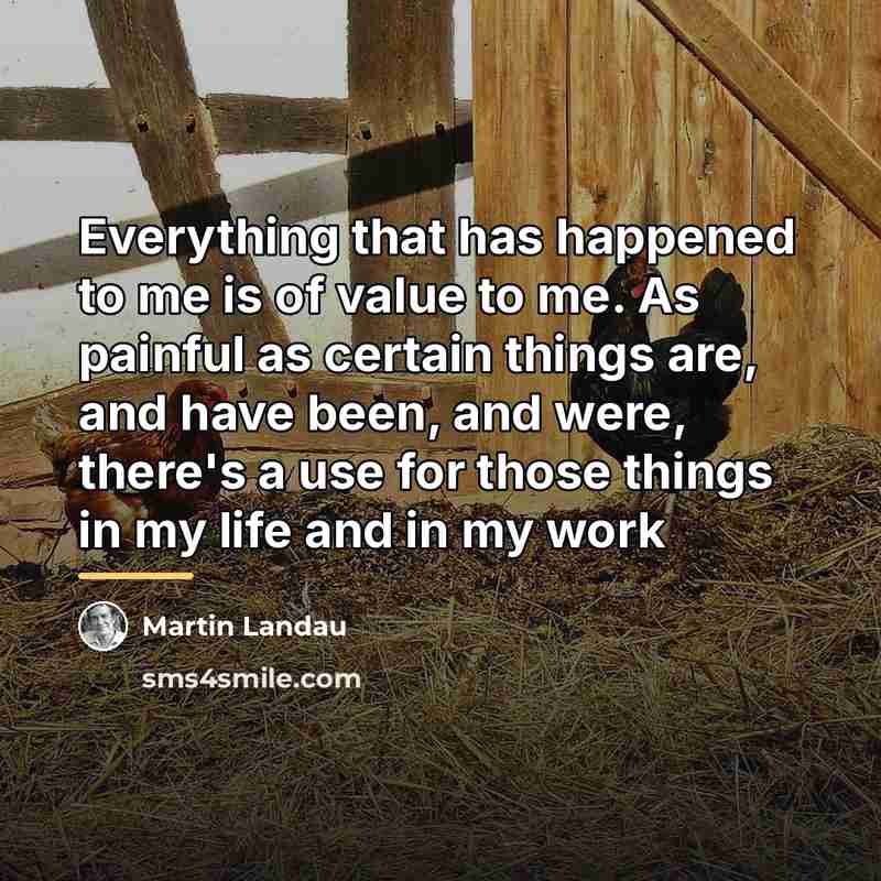 “Everything that has happened to me is of value to…” quote by Martin Landau