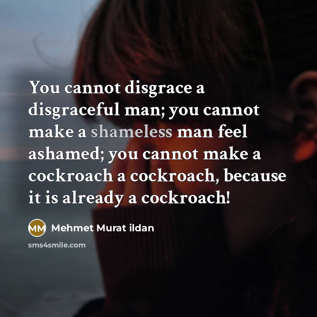 “You cannot disgrace a disgraceful man; you cannot make a…” quote by Mehmet Murat Ildan