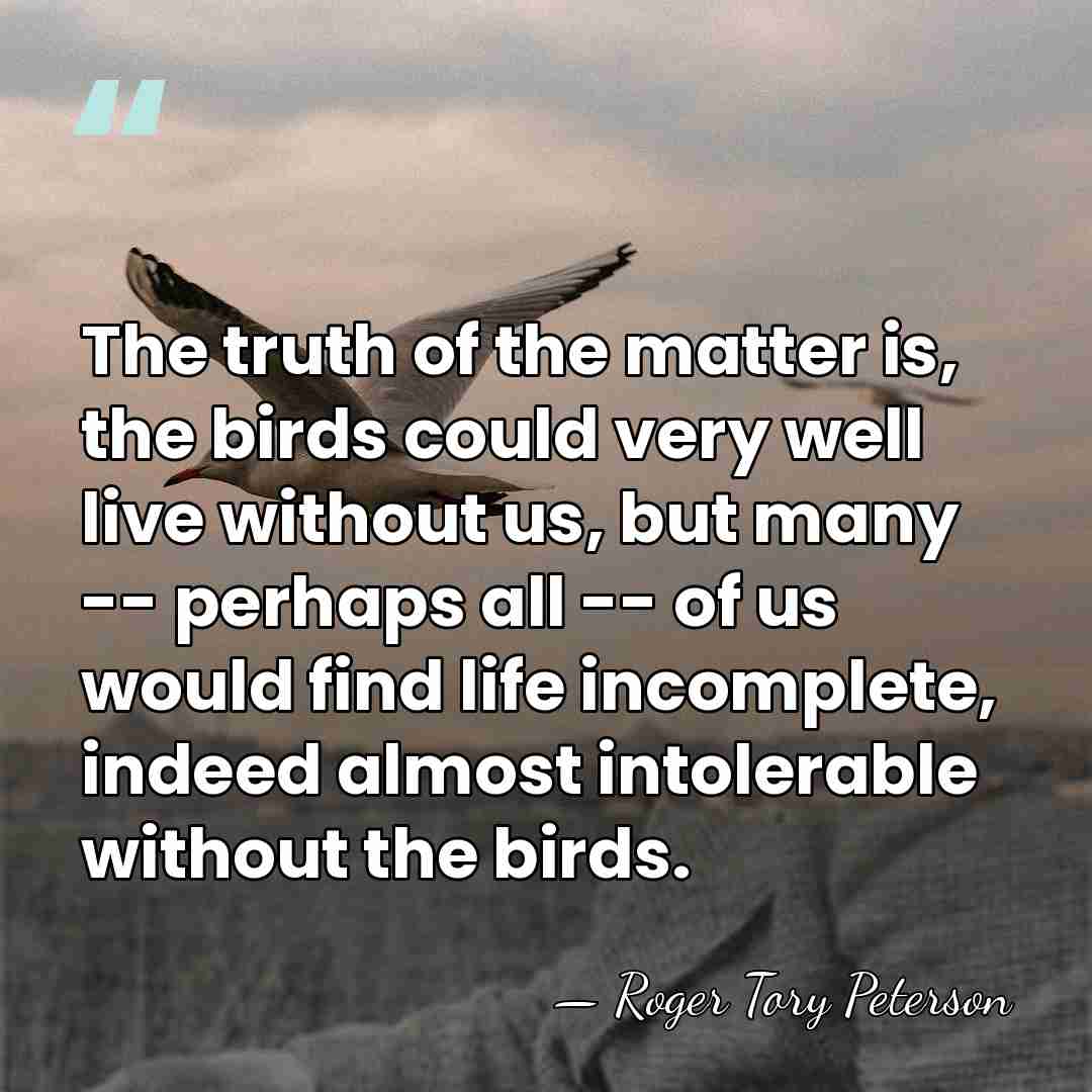 The truth of the matter is, the birds could very well live&hellip; - Roger Tory Peterson