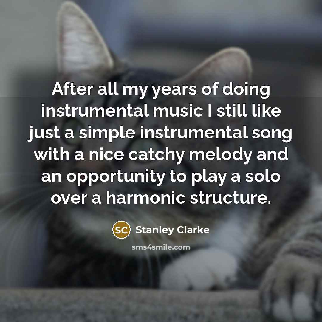 “After all my years of doing instrumental music I still…” quote by Stanley Clarke