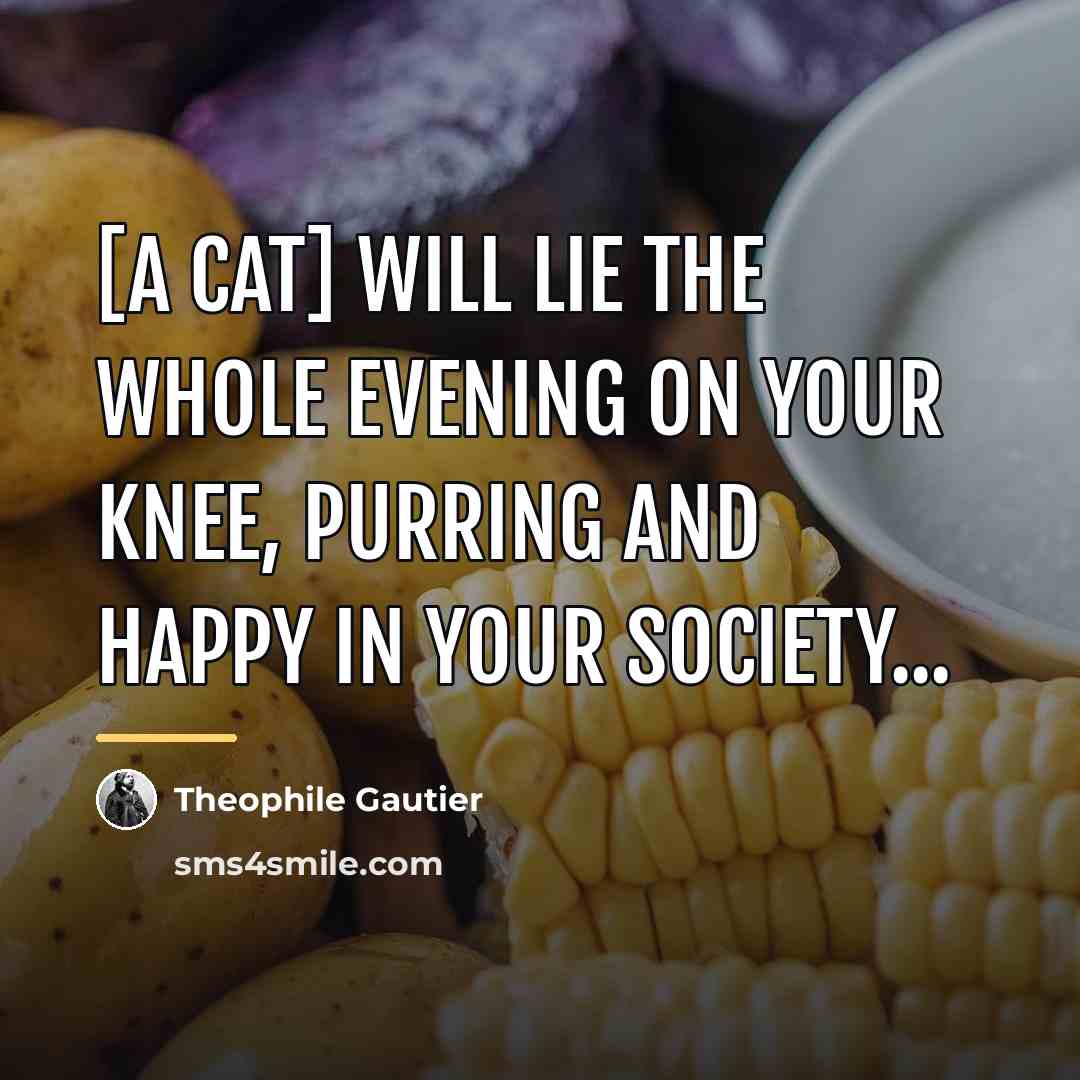 “[A cat] will lie the whole evening on your knee,…” quote by Theophile Gautier