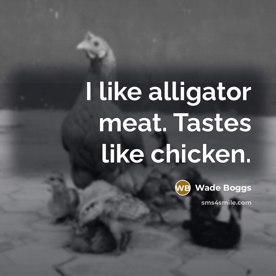 “I like alligator meat. Tastes like chicken.…” quote by Wade Boggs