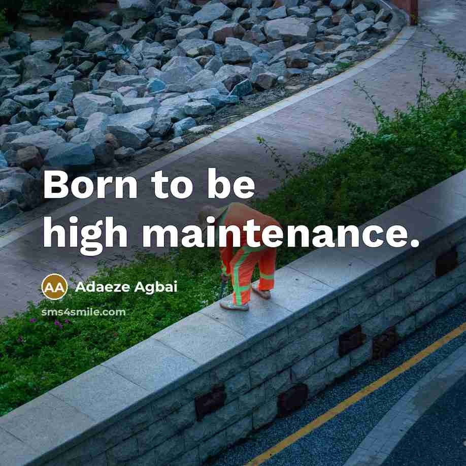“Born to be high maintenance.…” quote by Adaeze Agbai