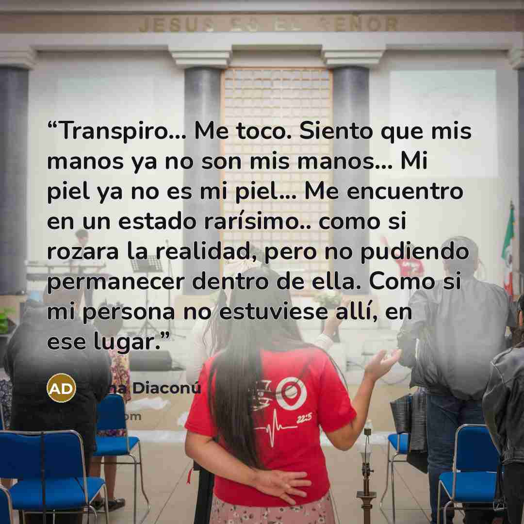 “Transpiro... Me toco. Siento que mis manos ya no son mis manos... Mi piel ya no es mi piel... Me encuentro en un estado rarísimo.. como si rozara la realidad, pero no pudiendo permanecer dentro de ella. Como si mi persona no estuviese allí, en ese lugar.” quote by Alina Diaconú