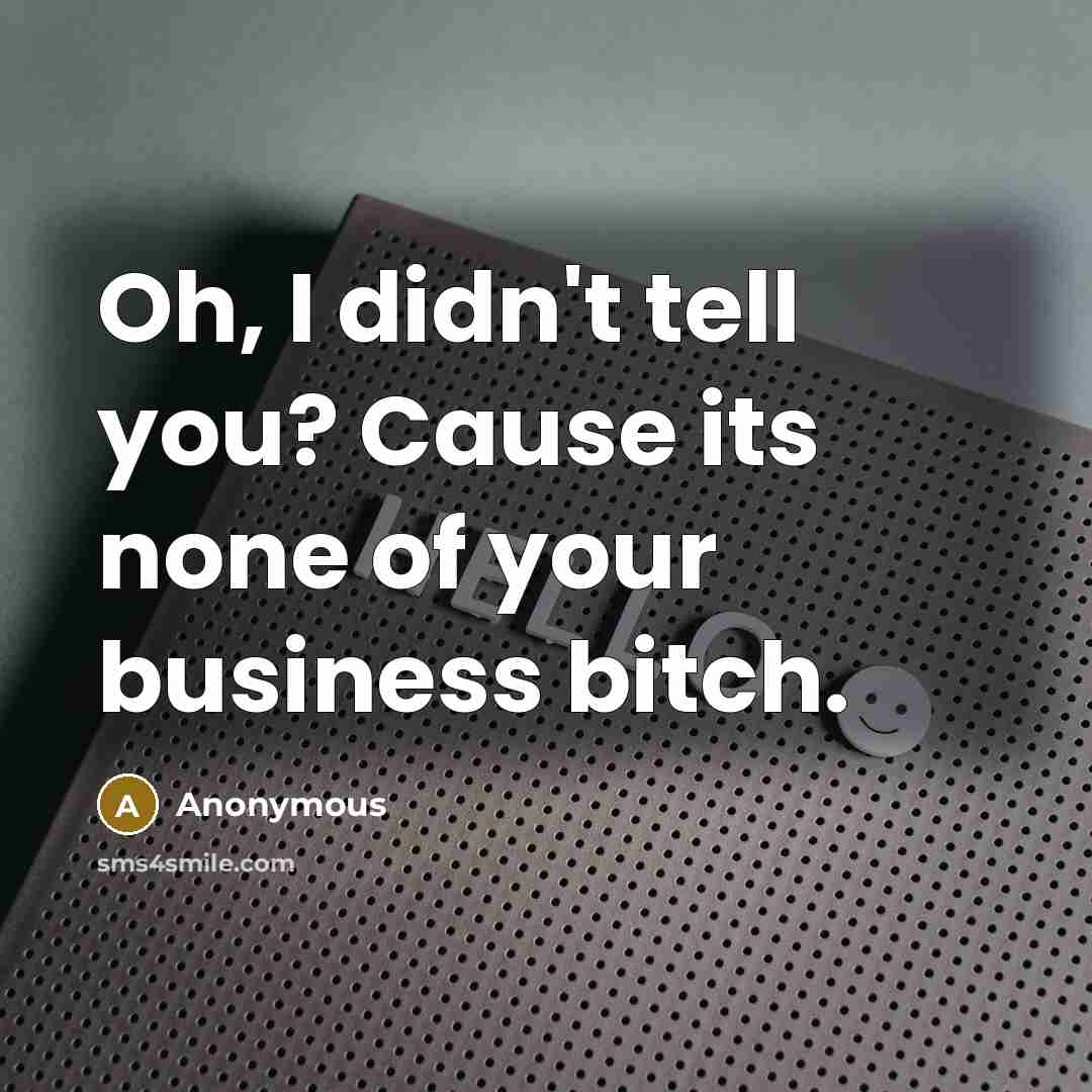 “Oh, I didn't tell you? Cause its none of your business bitch.” quote by Anonymous