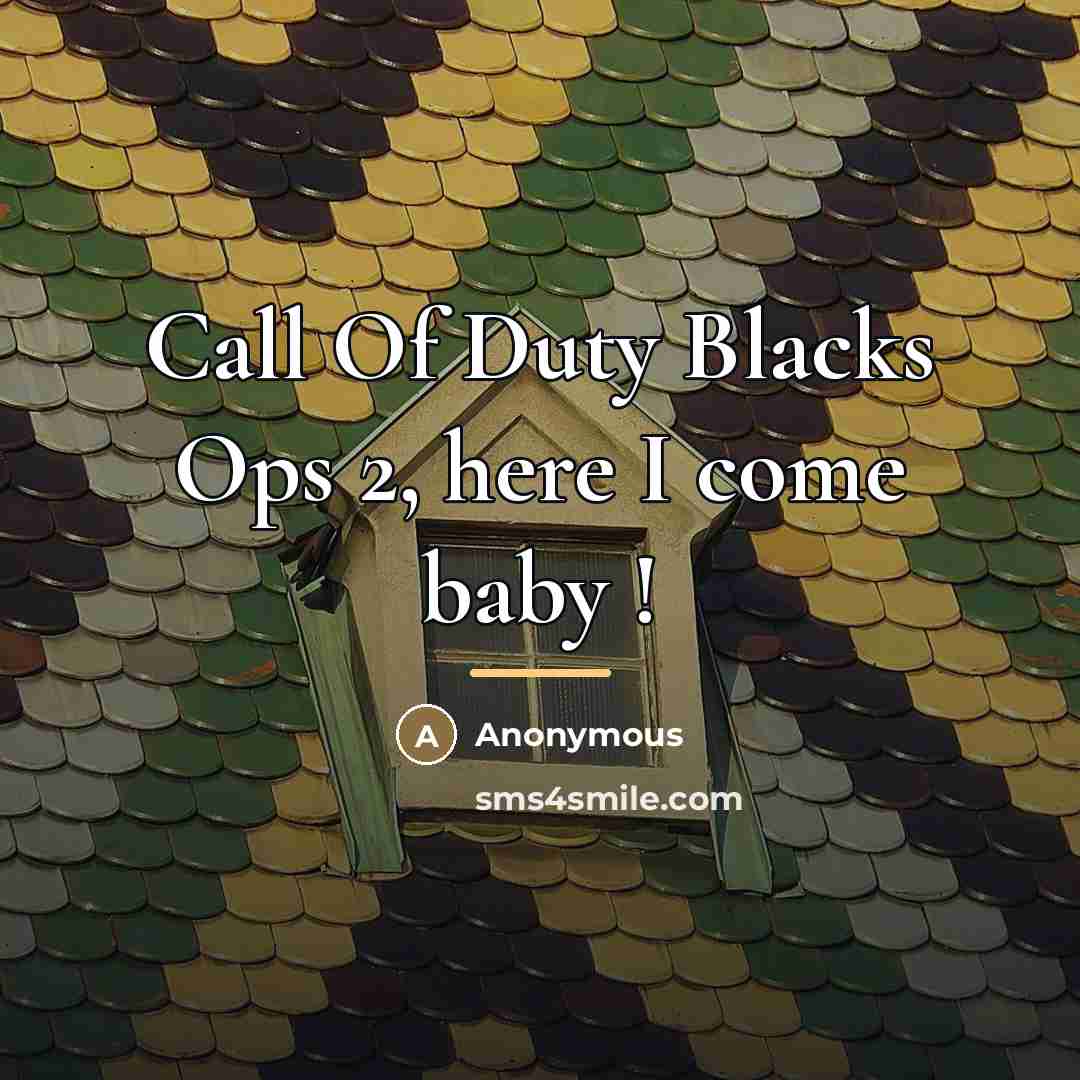 “Call Of Duty Blacks Ops 2, here I come baby…” quote by Anonymous