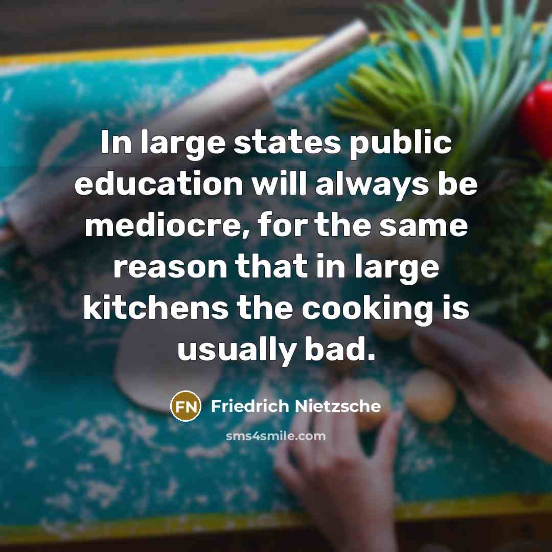 “In large states public education will always be mediocre, for…” quote by Friedrich Nietzsche
