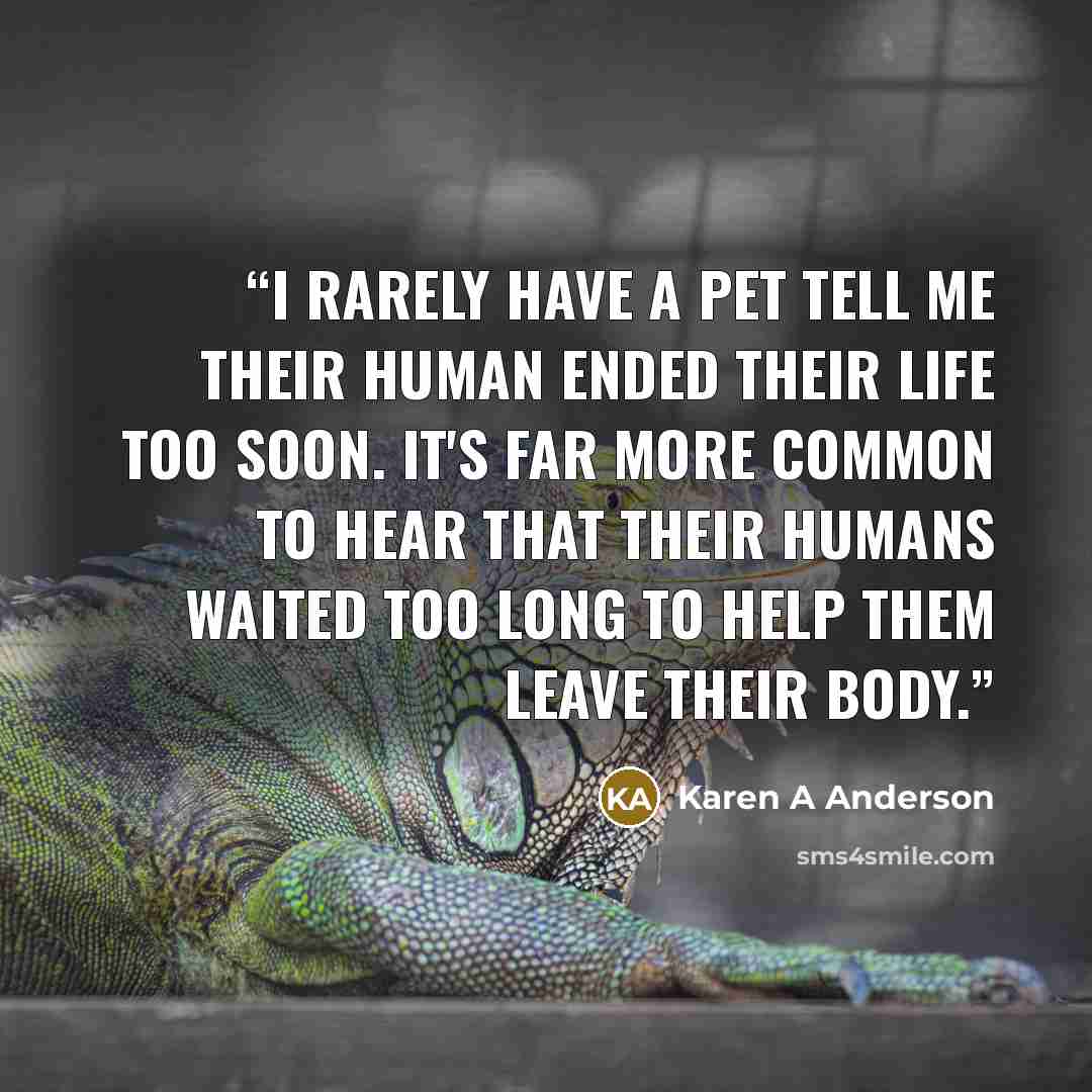 “I rarely have a pet tell me their human ended their life too soon. It's far more common to hear that their humans waited too long to help them leave their body.” quote by Karen A Anderson