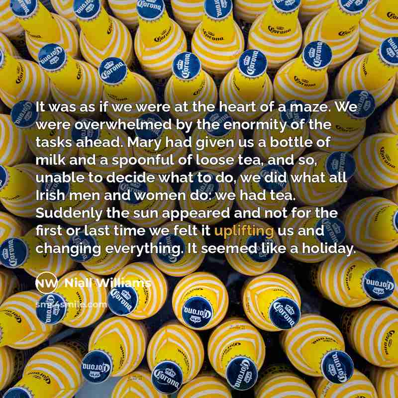“It was as if we were at the heart of…” quote by Niall Williams