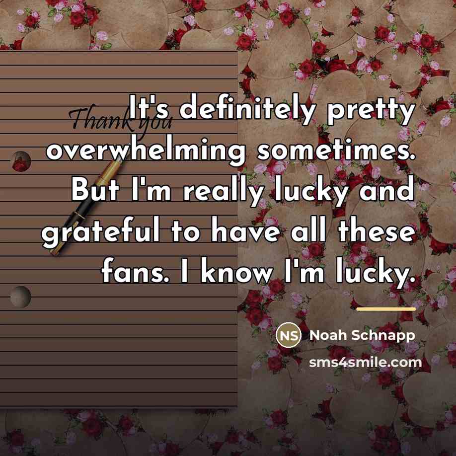 “It's definitely pretty overwhelming sometimes. But I'm really lucky and…” quote by Noah Schnapp