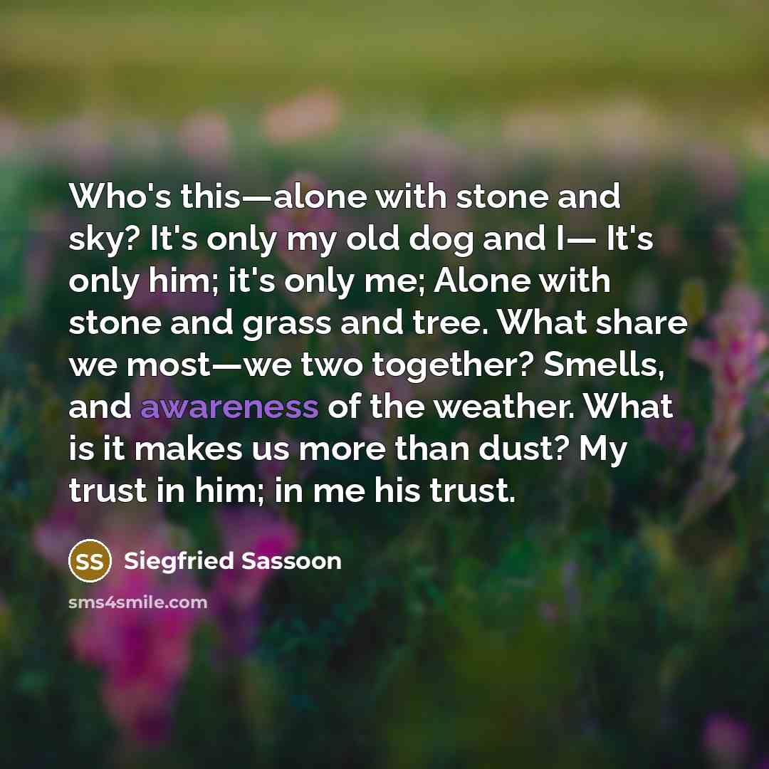 “Who's this—alone with stone and sky? It's only my old…” quote by Siegfried Sassoon