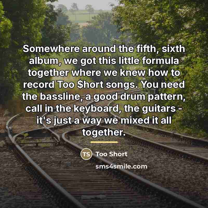 “Somewhere around the fifth, sixth album, we got this little…” quote by Too Short