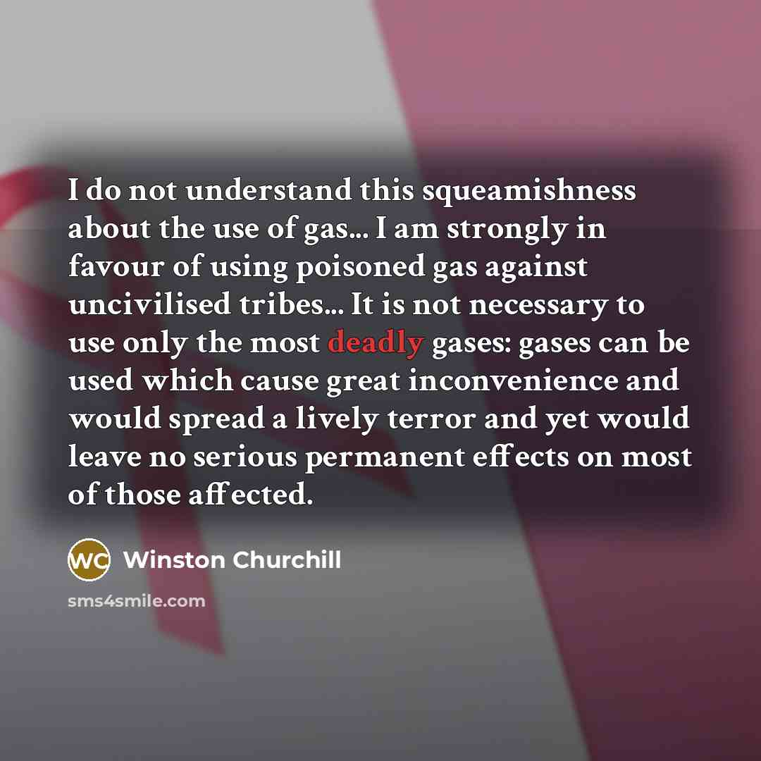 “I do not understand this squeamishness about the use of…” quote by Winston Churchill