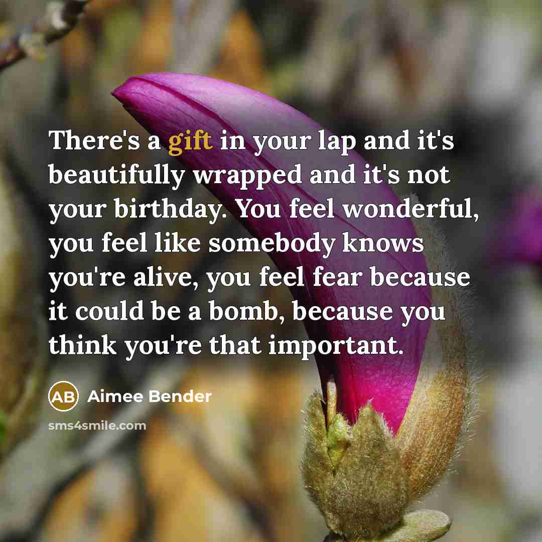 “There's a gift in your lap and it's beautifully wrapped…” quote by Aimee Bender