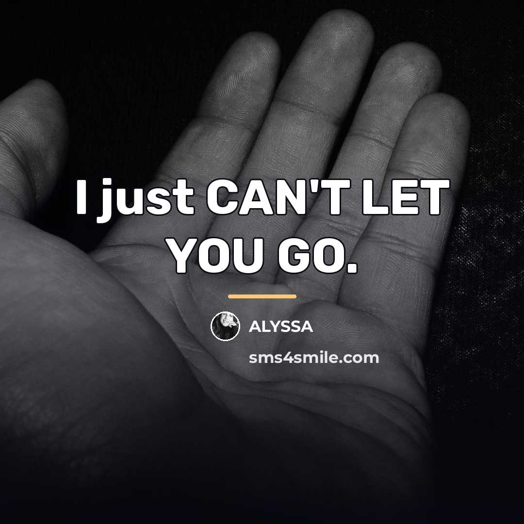 “I just CAN'T LET YOU GO.…” quote by ALYSSA