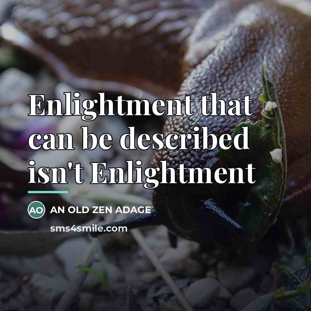 “Enlightment that can be described isn't Enlightment…” quote by An Old Zen Adage