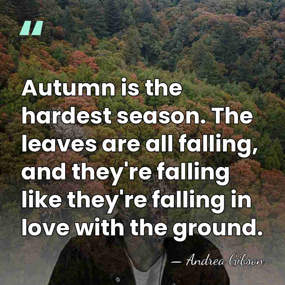 Autumn is the hardest season. The leaves are all falling, and they're&hellip; - Andrea Gibson