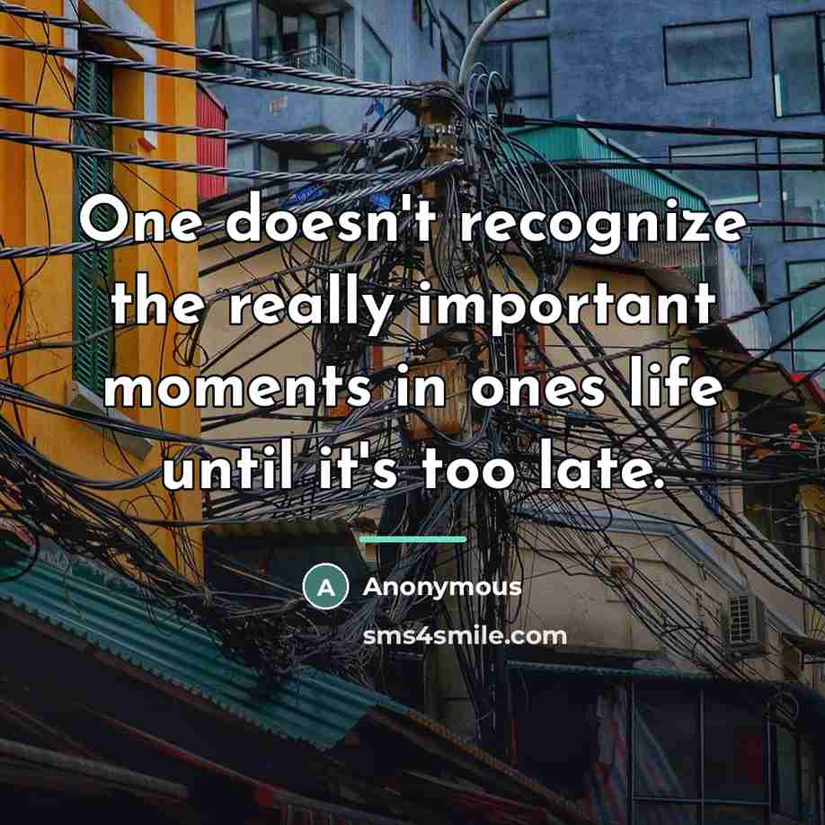 “One doesn't recognize the really important moments in ones life…” quote by Anonymous