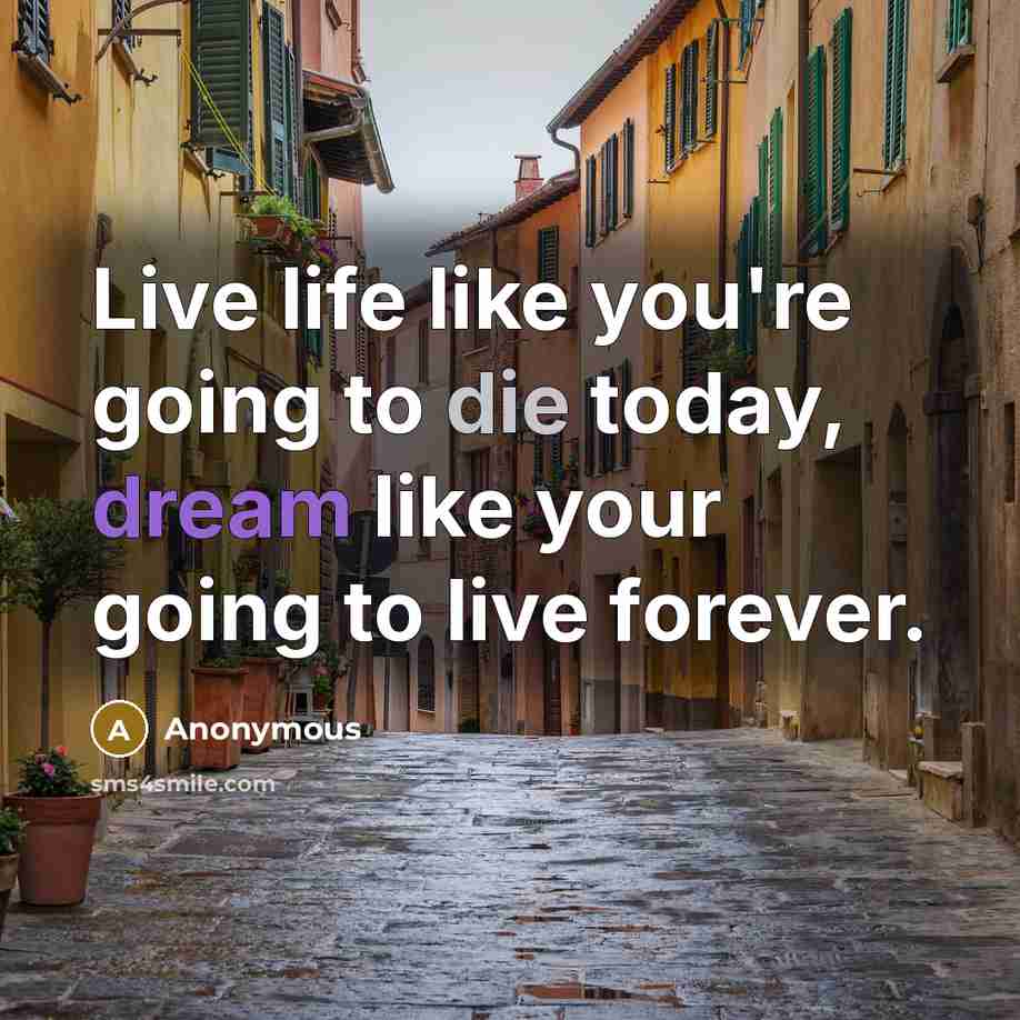 “Live life like you're going to die today, dream like…” quote by Anonymous