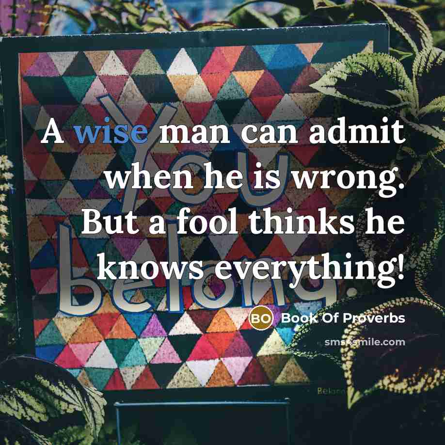 “A wise man can admit when he is wrong. But a fool thinks he knows everything!” quote by Book Of Proverbs