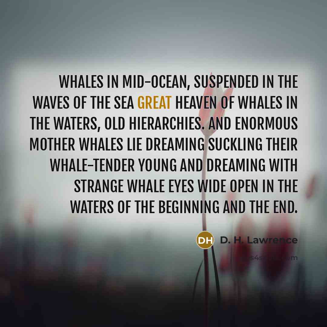“Whales in mid-ocean, suspended in the waves of the sea…” quote by D. H. Lawrence