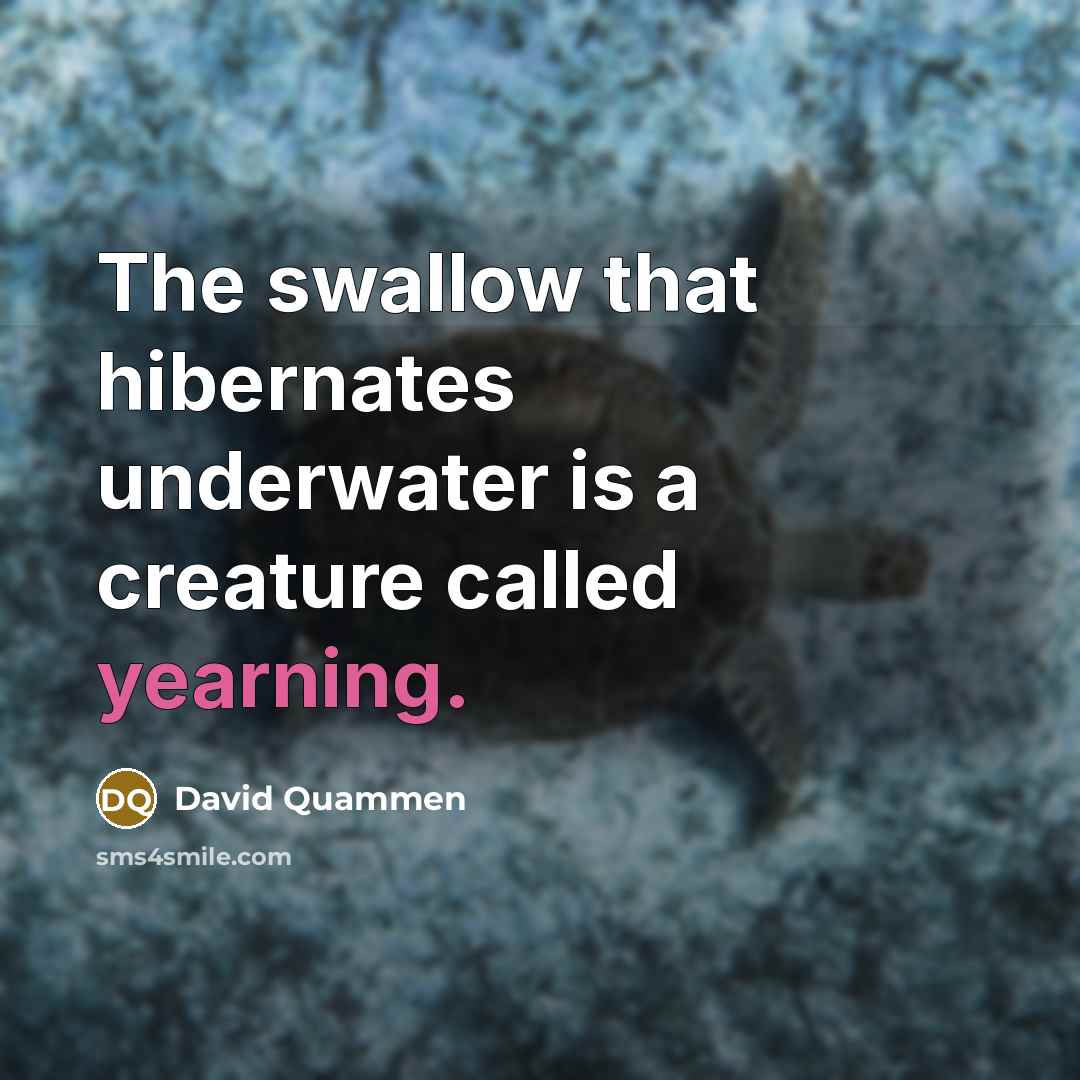 “The swallow that hibernates underwater is a creature called yearning.…” quote by David Quammen