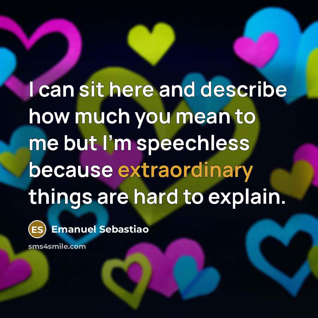 “I can sit here and describe how much you mean…” quote by Emanuel Sebastiao