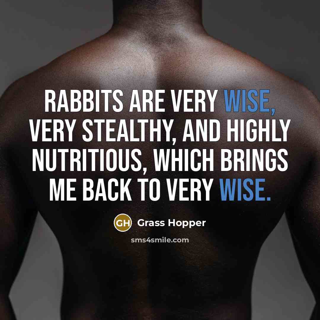 “Rabbits are very wise, very stealthy, and highly nutritious, which…” quote by Grass Hopper