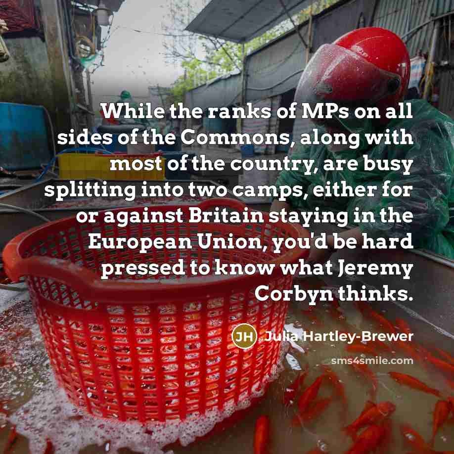 “While the ranks of MPs on all sides of the…” quote by Julia Hartley-Brewer