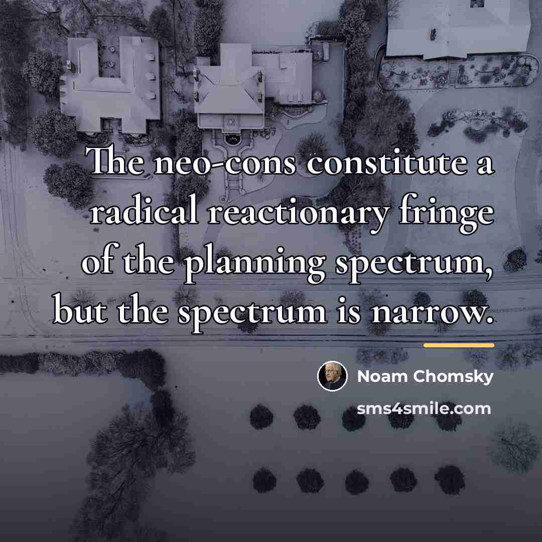 “The neo-cons constitute a radical reactionary fringe of the planning…” quote by Noam Chomsky