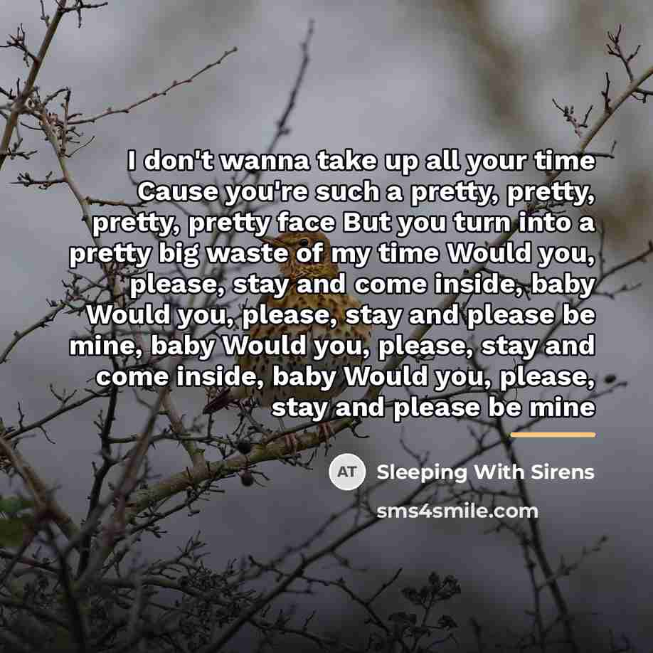 “I don't wanna take up all your time Cause you're…” quote by Sleeping With Sirens