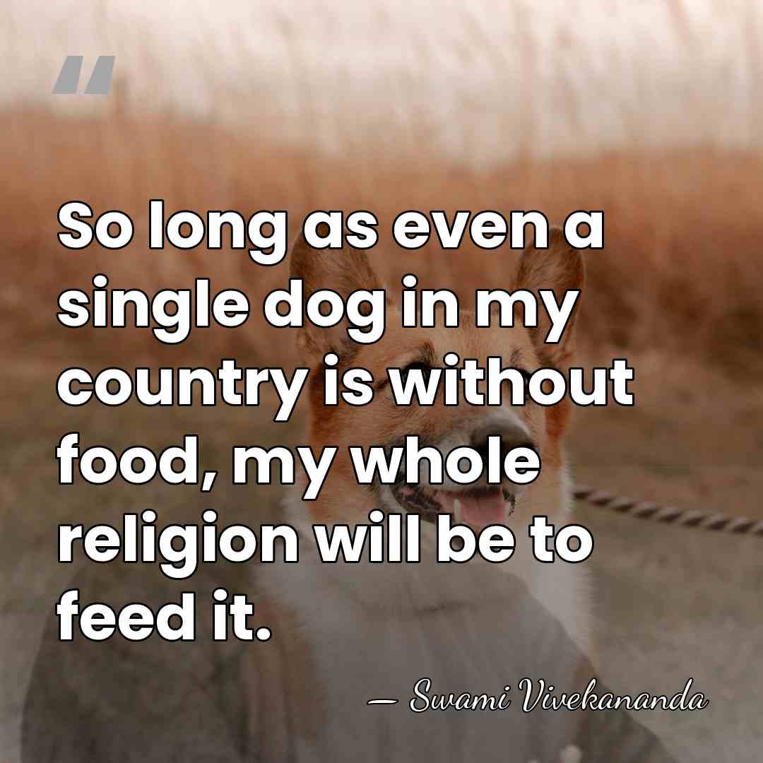So long as even a single dog in my country is without&hellip; - Swami Vivekananda