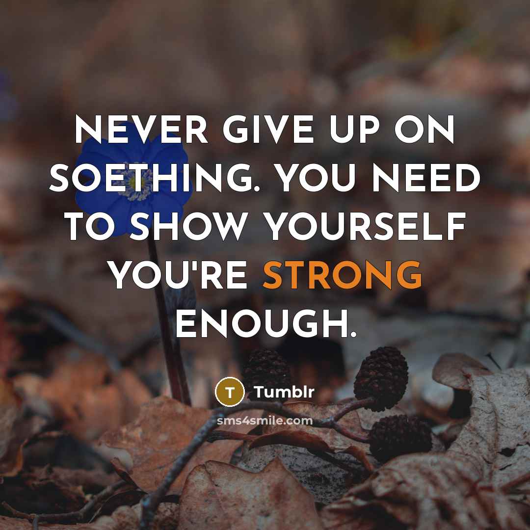 “NEVER GIVE UP ON SOETHING. YOU NEED TO SHOW YOURSELF YOU'RE STRONG ENOUGH.” quote by Tumblr